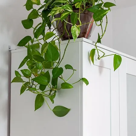 Casa Ignazia In Apartman Lajares