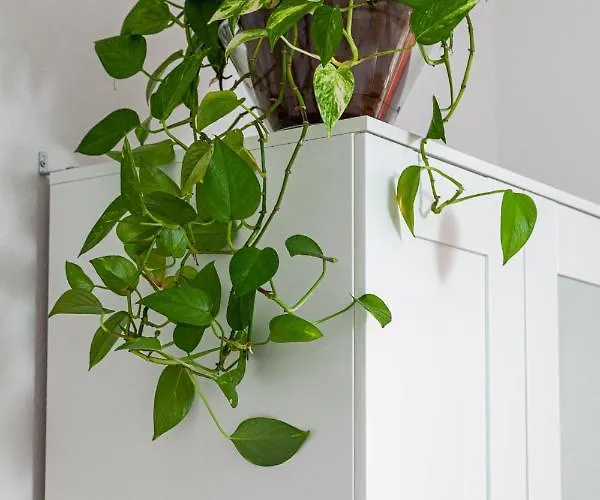 Casa Ignazia In דירה לאחארס